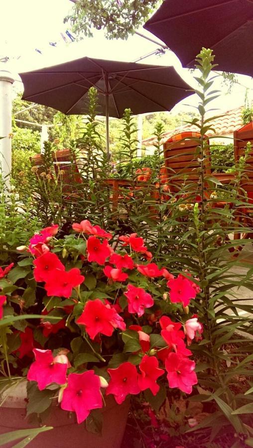Motel Stone Gardens Доли Экстерьер фото